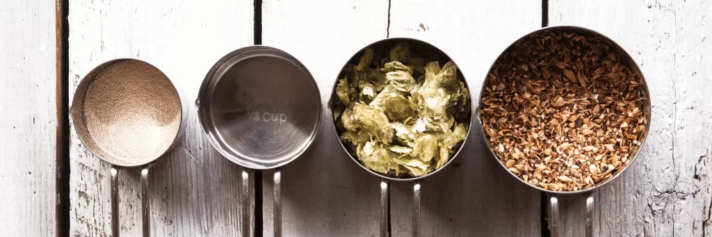 Os 4 ingredientes da cerveja que todo cervejeiro precisa dominar